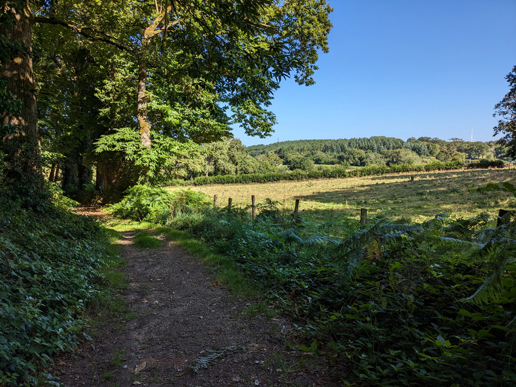 Circuit Uni'Vert Trail n°6 : Racin'es Trail, La Souterraine - photo 2