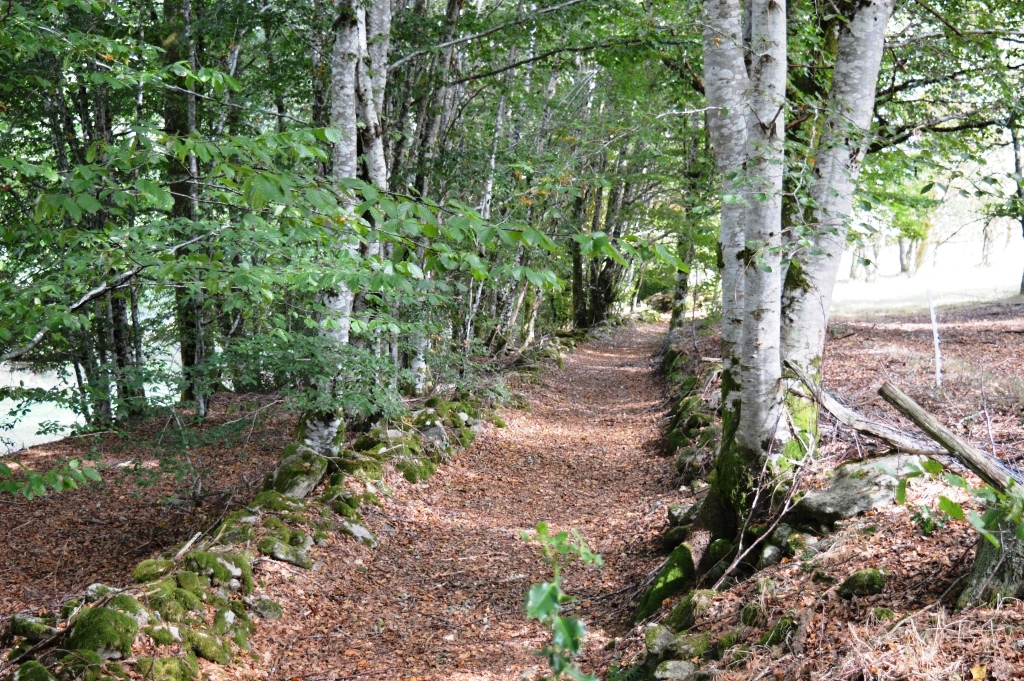 Au coeur du Plateau - 2 km