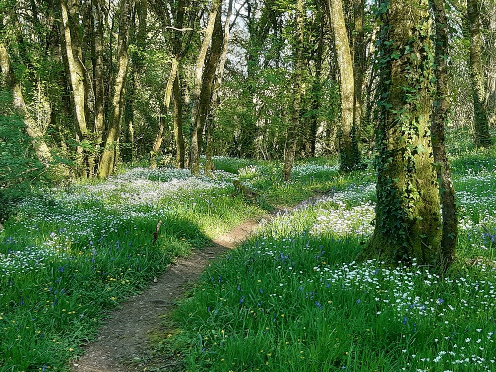 La grande boucle de Coudray