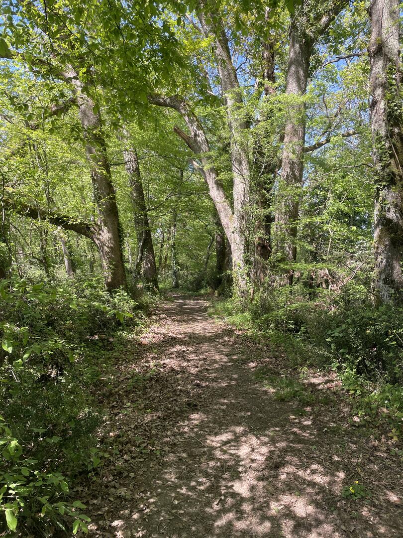 Boucle de Mussidan et ses faubourgs - photo 3