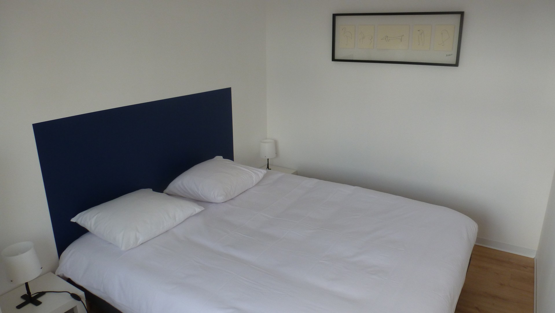 Chêne, Chasseneuil-du-Poitou - photo 7