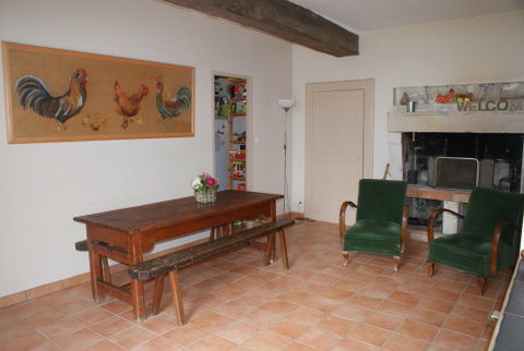 La Petite Baron, Saint-Martin-la-Pallu - photo 4