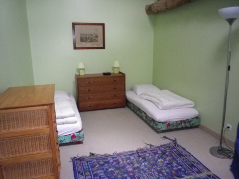 La Petite Baron, Saint-Martin-la-Pallu - photo 6