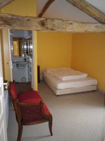 La Petite Baron, Saint-Martin-la-Pallu - photo 7