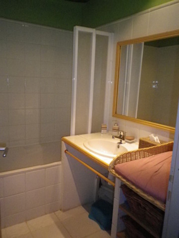 La Petite Baron, Saint-Martin-la-Pallu - photo 5