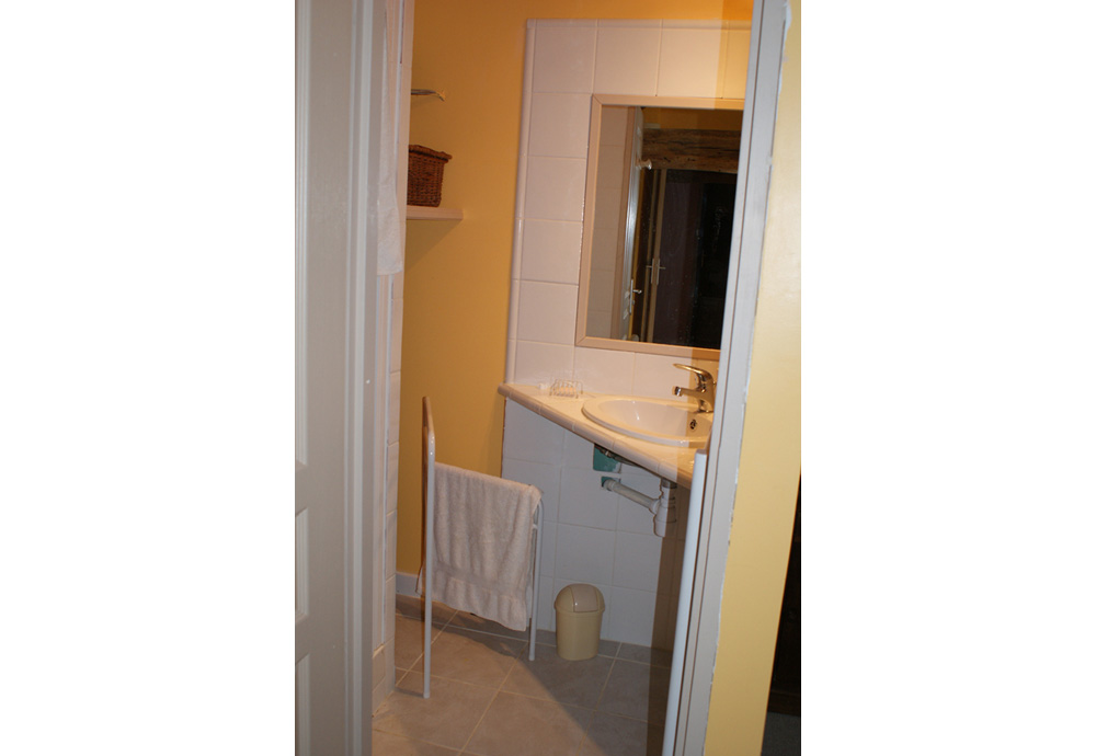 La Petite Baron, Saint-Martin-la-Pallu - photo 8