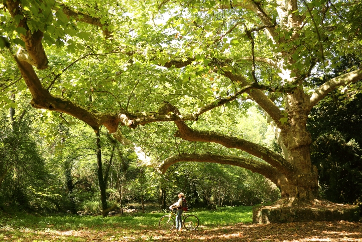 Site de Peyrassoulat - photo 2