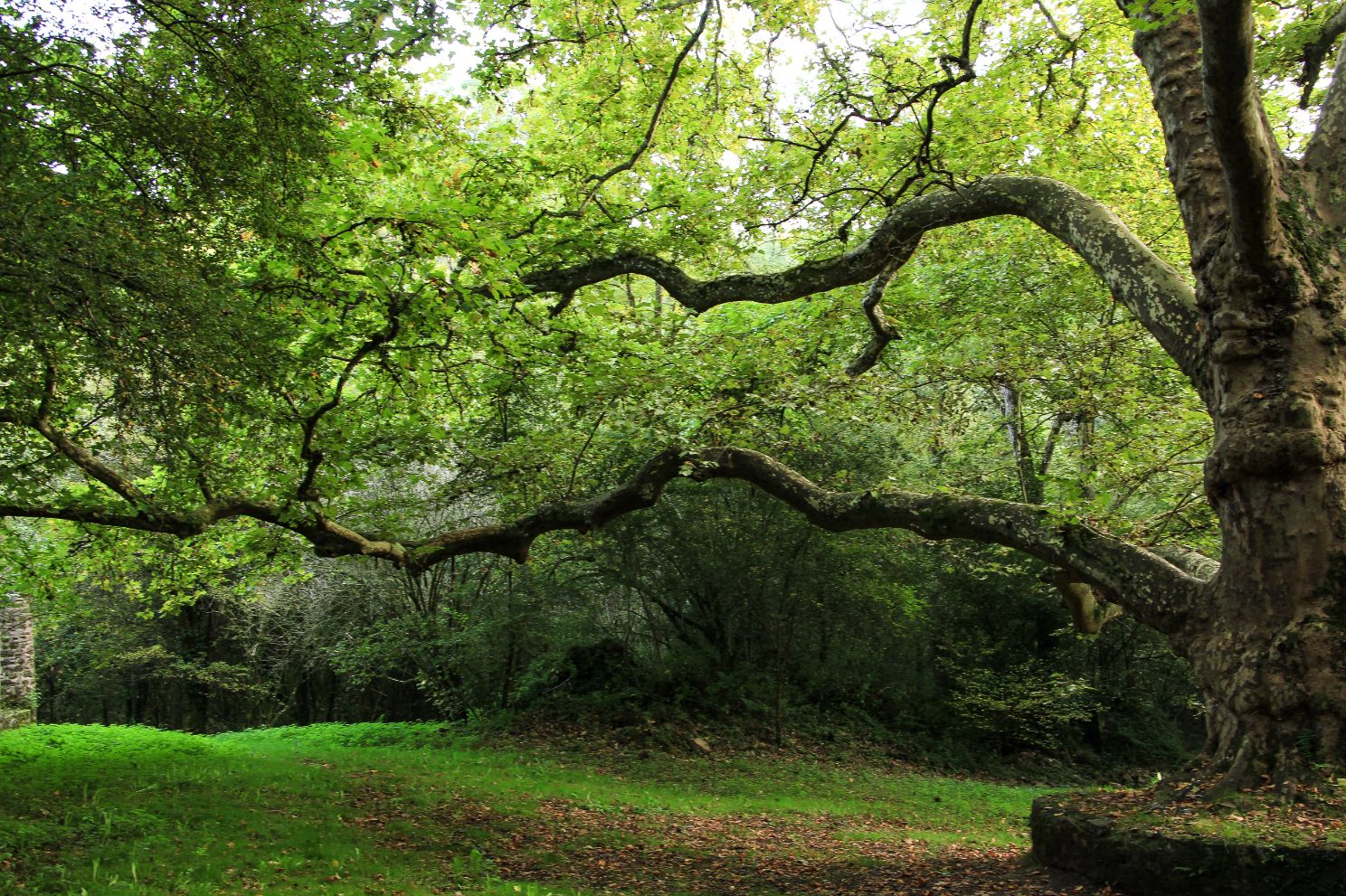 Site de Peyrassoulat - photo 4
