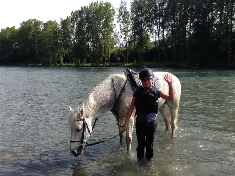 Cheval Détente