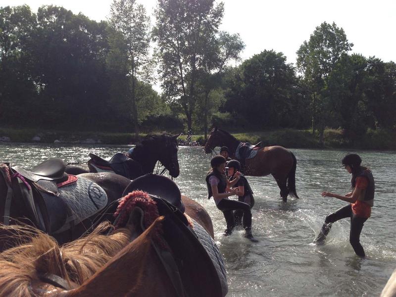 Cheval Détente