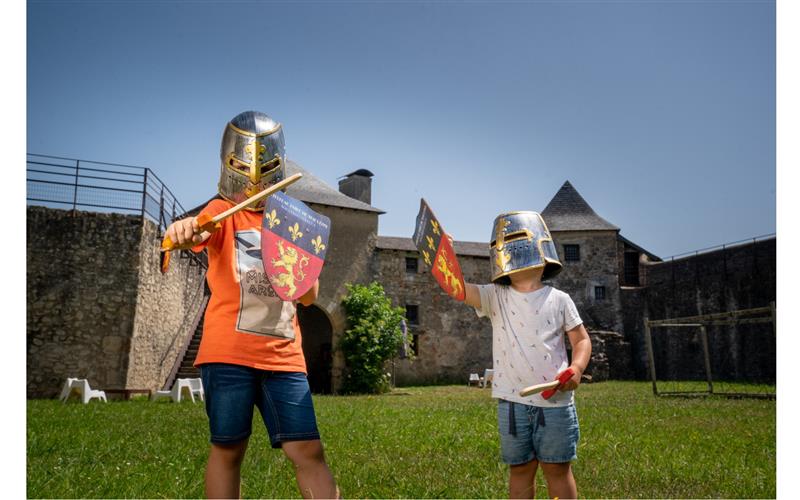 Château-fort de Mauléon 