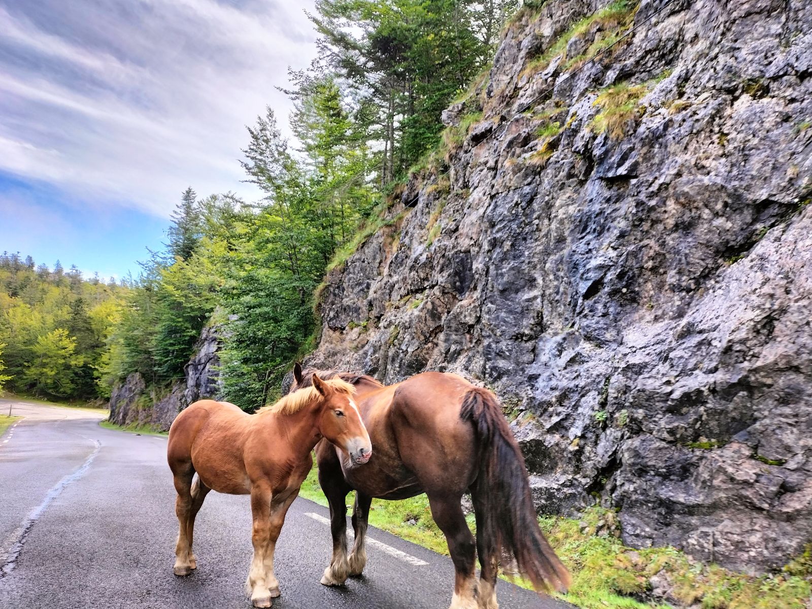 Studio Gouin, Arette - photo 2