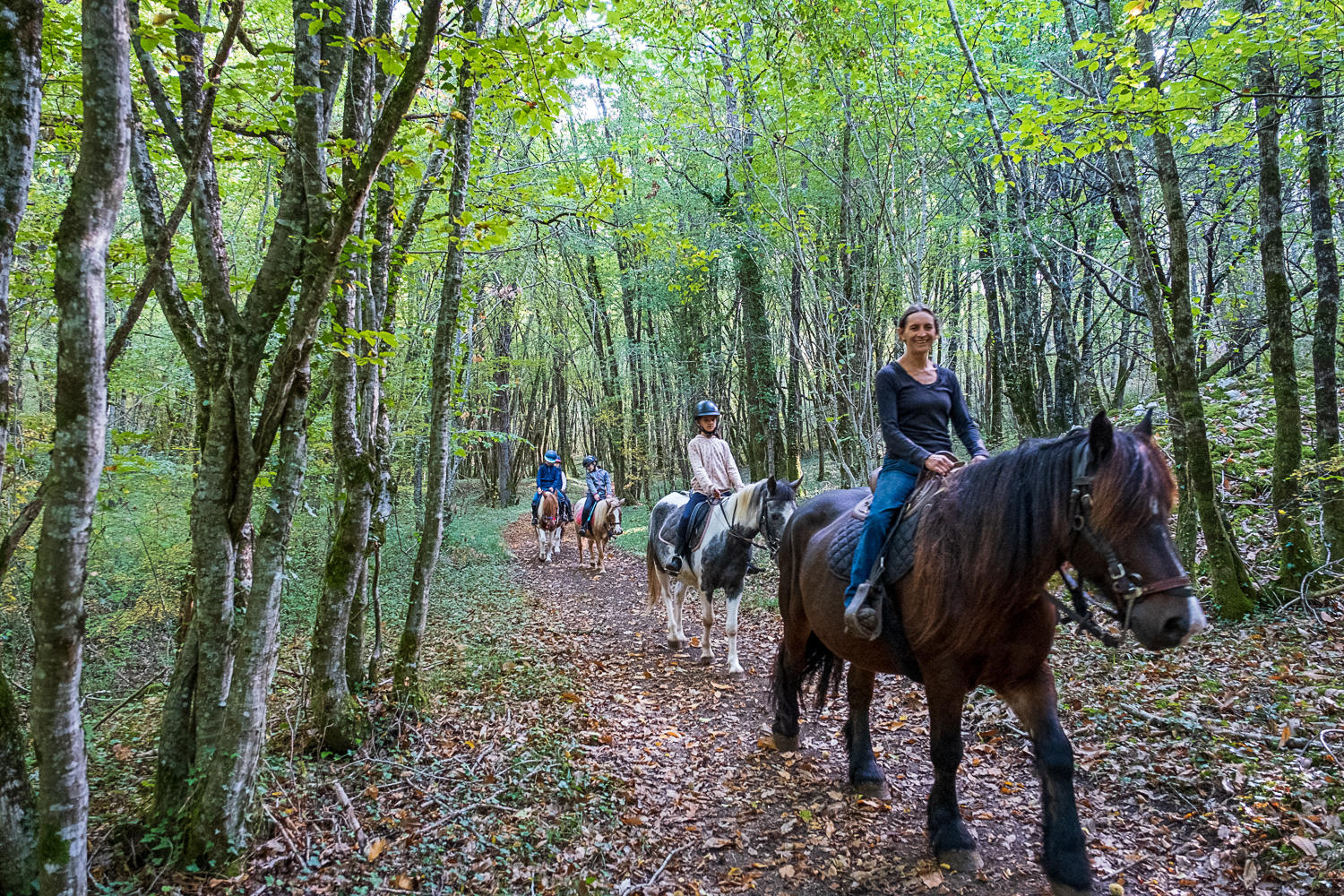 Comme les chevaux d'Ans