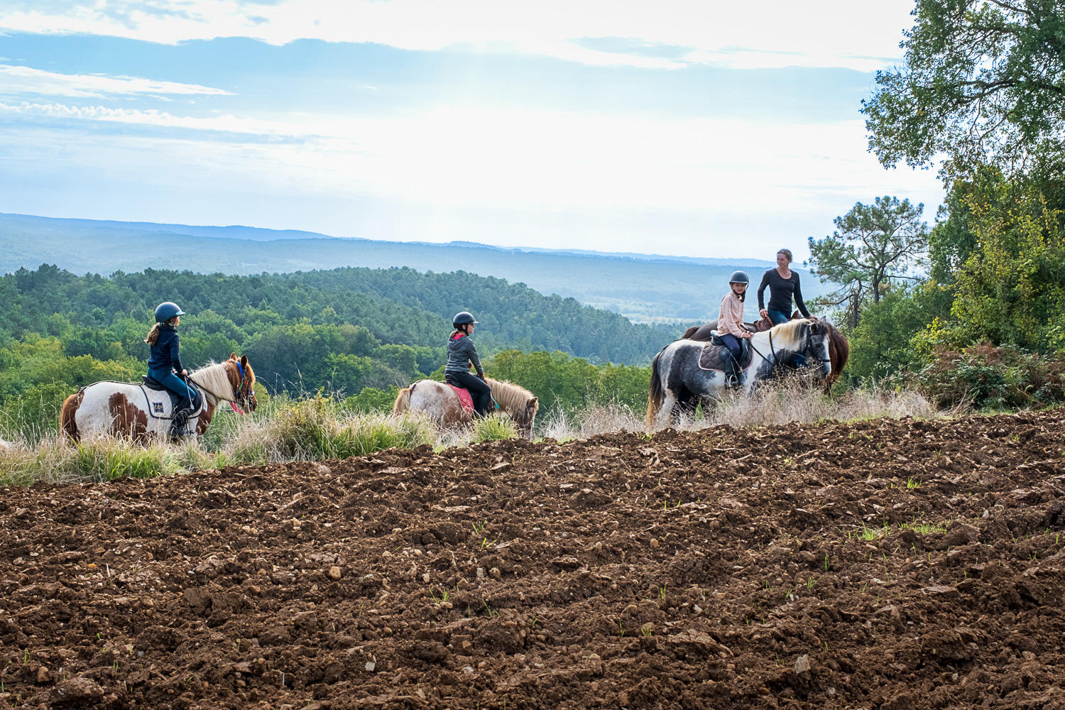 Comme les chevaux d'Ans