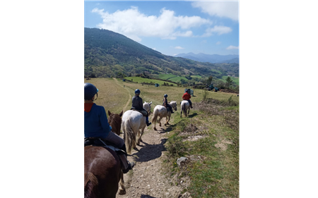 Les chevaux d'Iraty Les chevaux d'Iraty