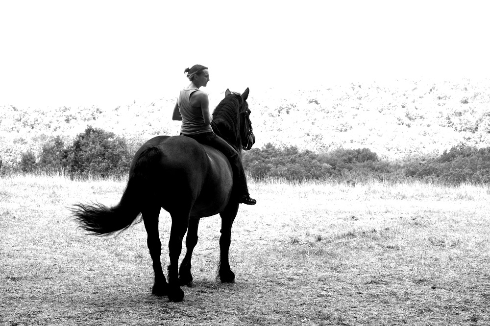 Comme les chevaux d'Ans — photo 2