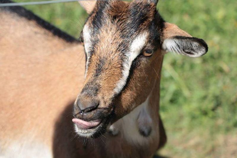 Parc Eden et Sens, Ginestet - photo 6