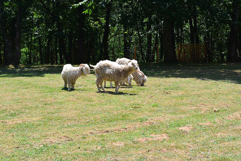 Mielys Sphère, Val de Louyre et Caudeau - photo 7