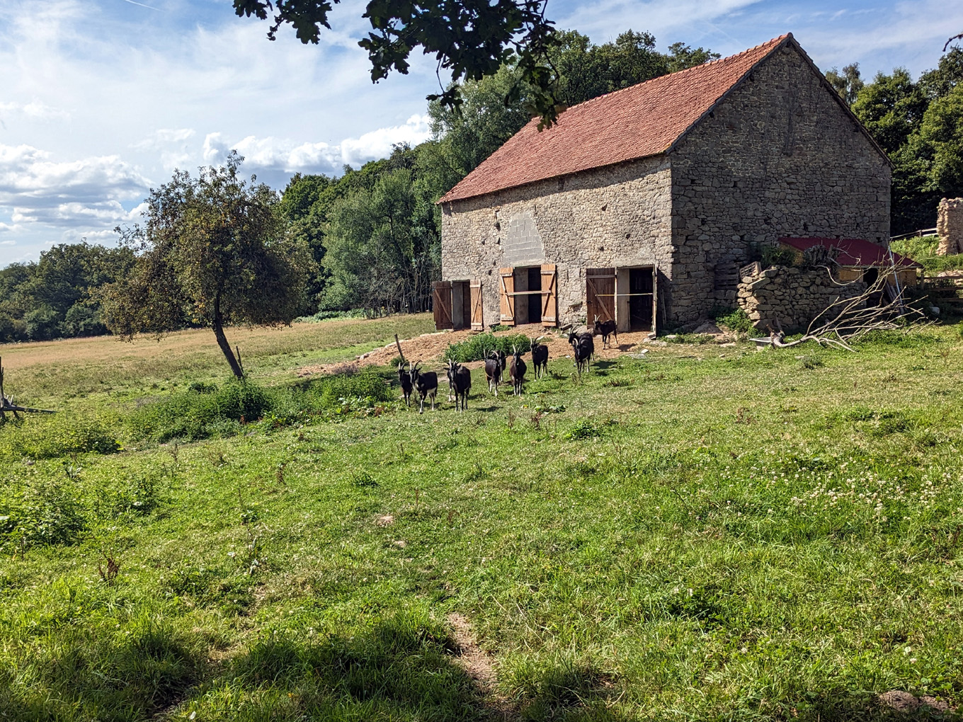 La Chèvrerie du Poney Fringant à Azérables