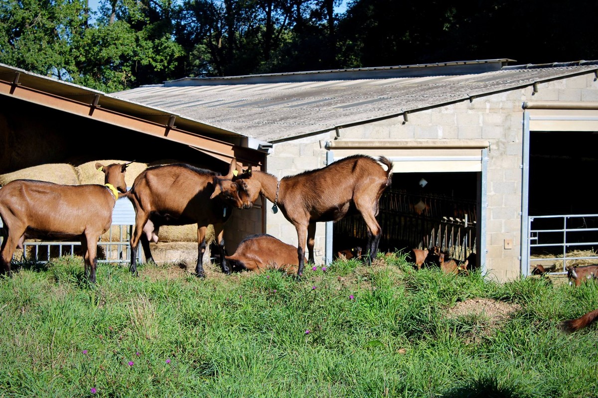 Gîte de la Chèvrerie, Grignols - photo 9