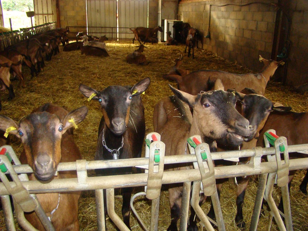 Ferme Bonnamy