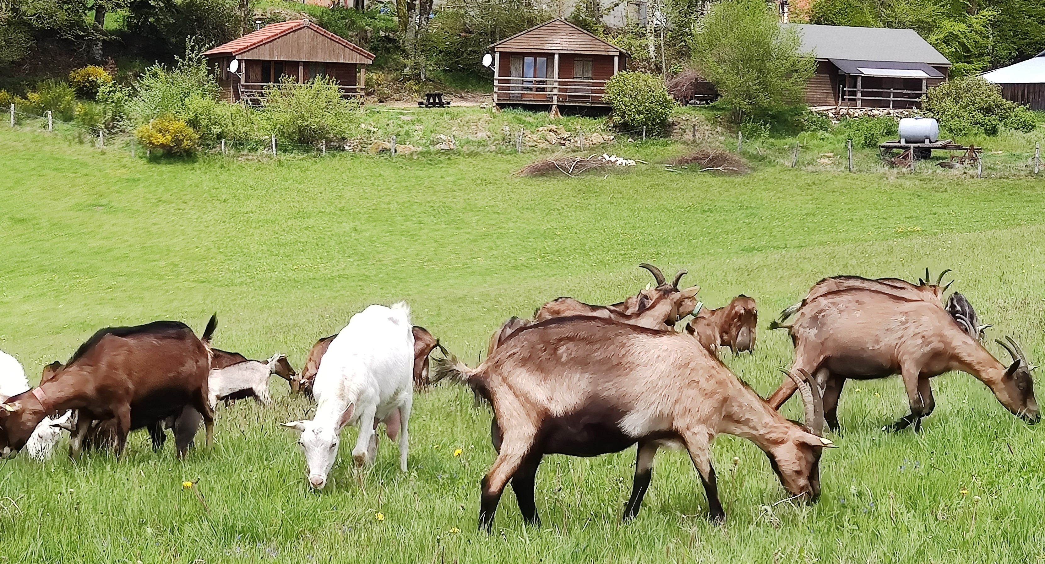 Yourte de la Ferme de Vassivière (4 personnes) - photo 3