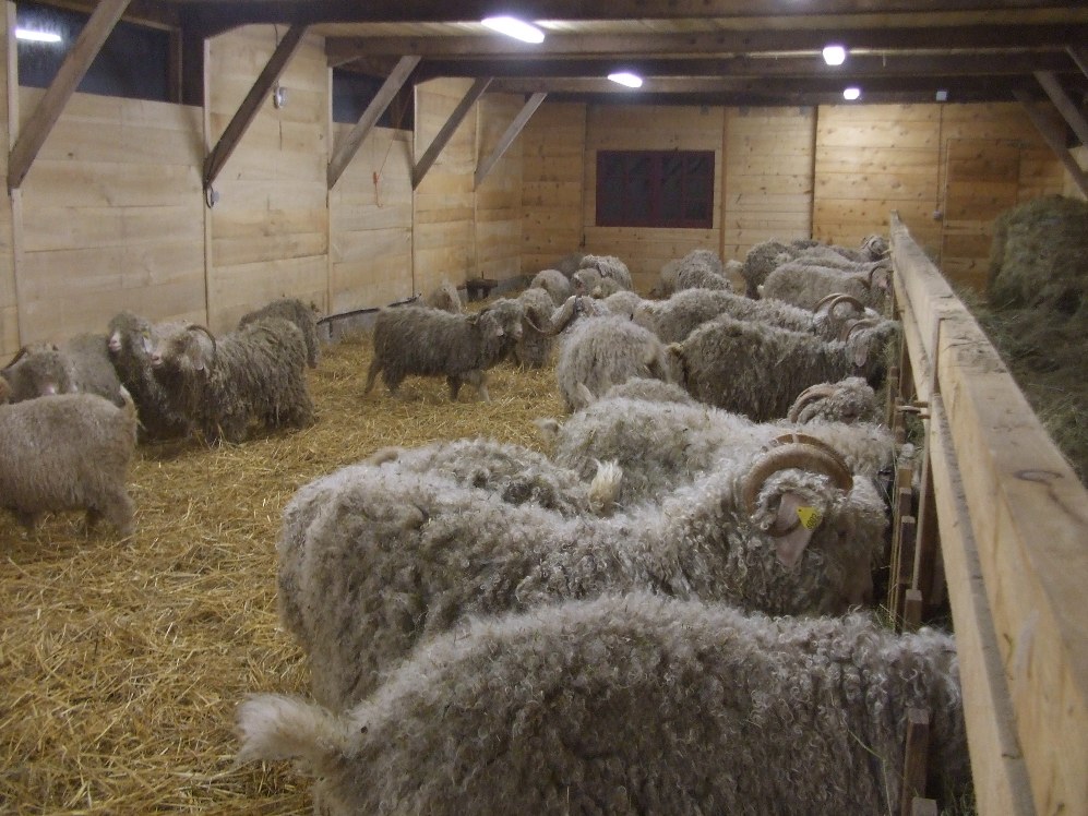 Ferme des 4 vents, Pechs-de-l'Espérance - photo 4