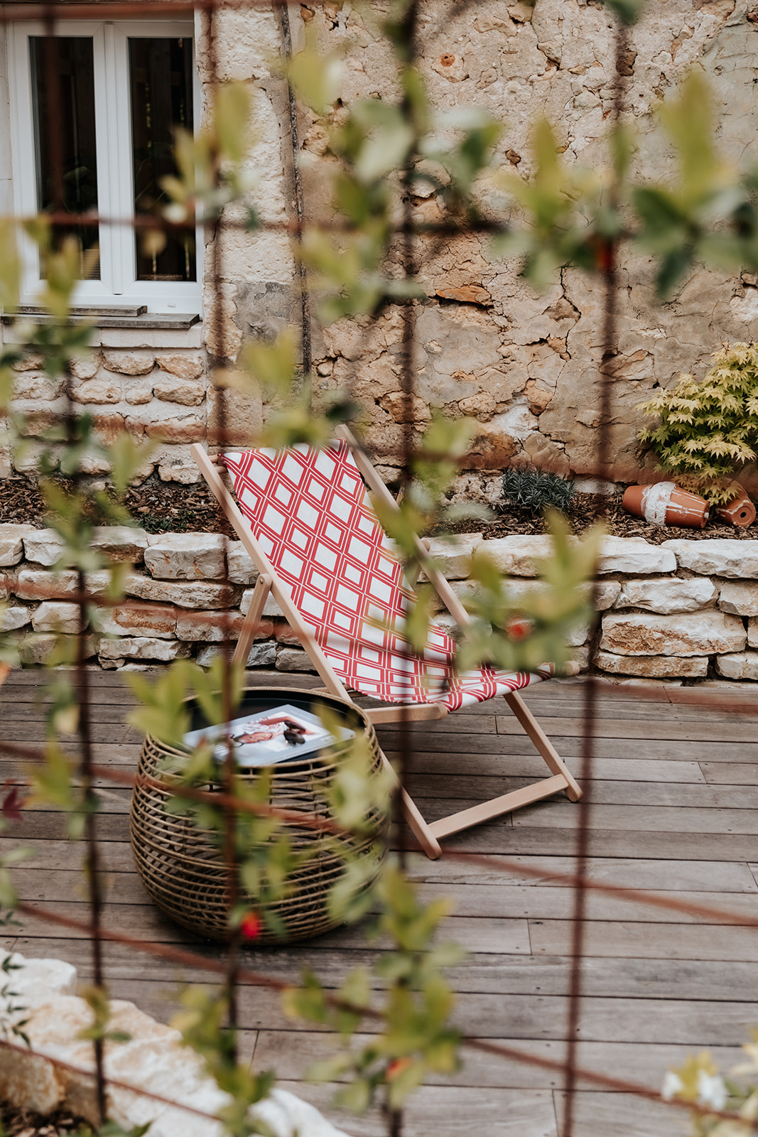 Le Figuier "Chez les Biscotto"