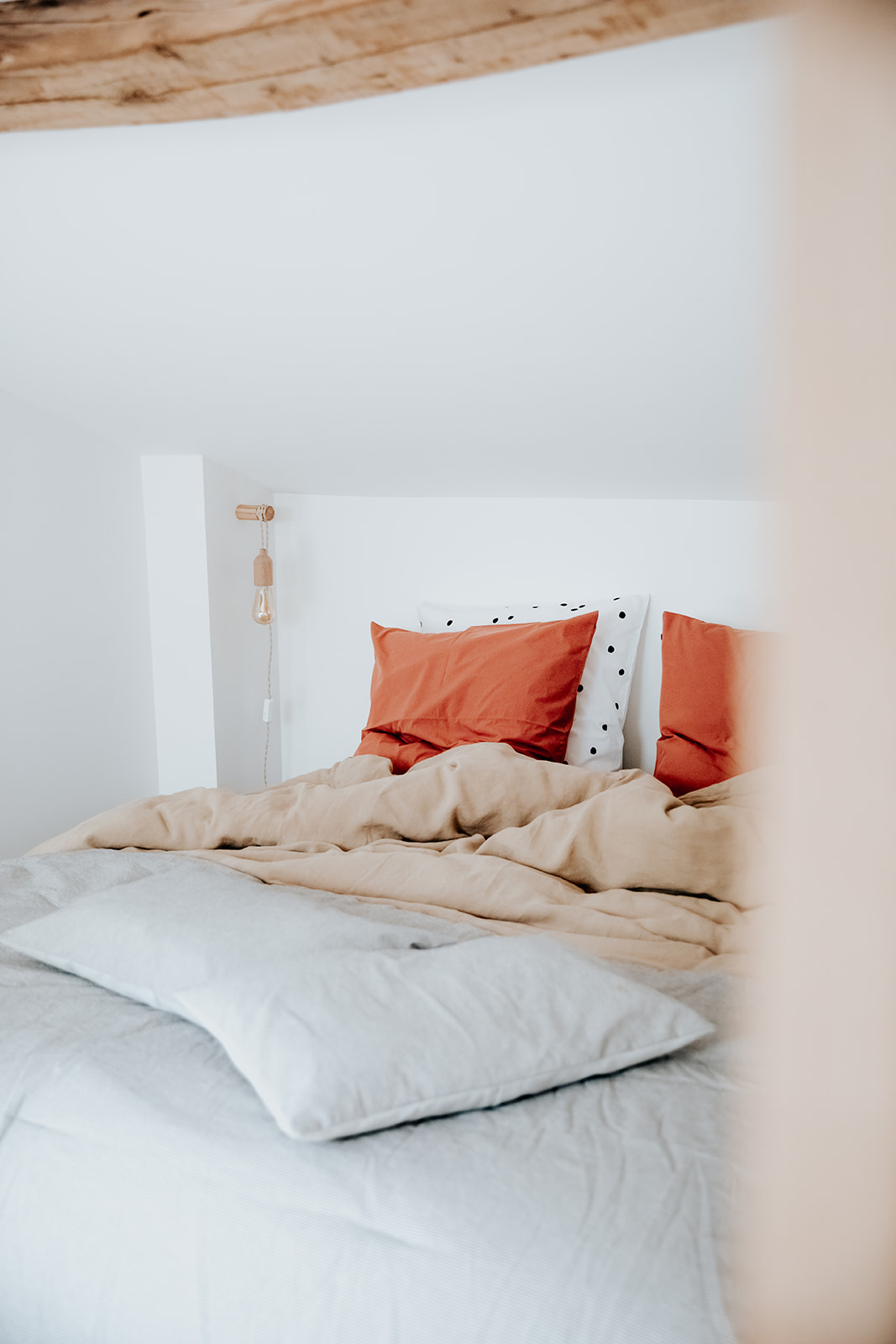 Le Figuier "Chez les Biscotto", Jaure - photo 4