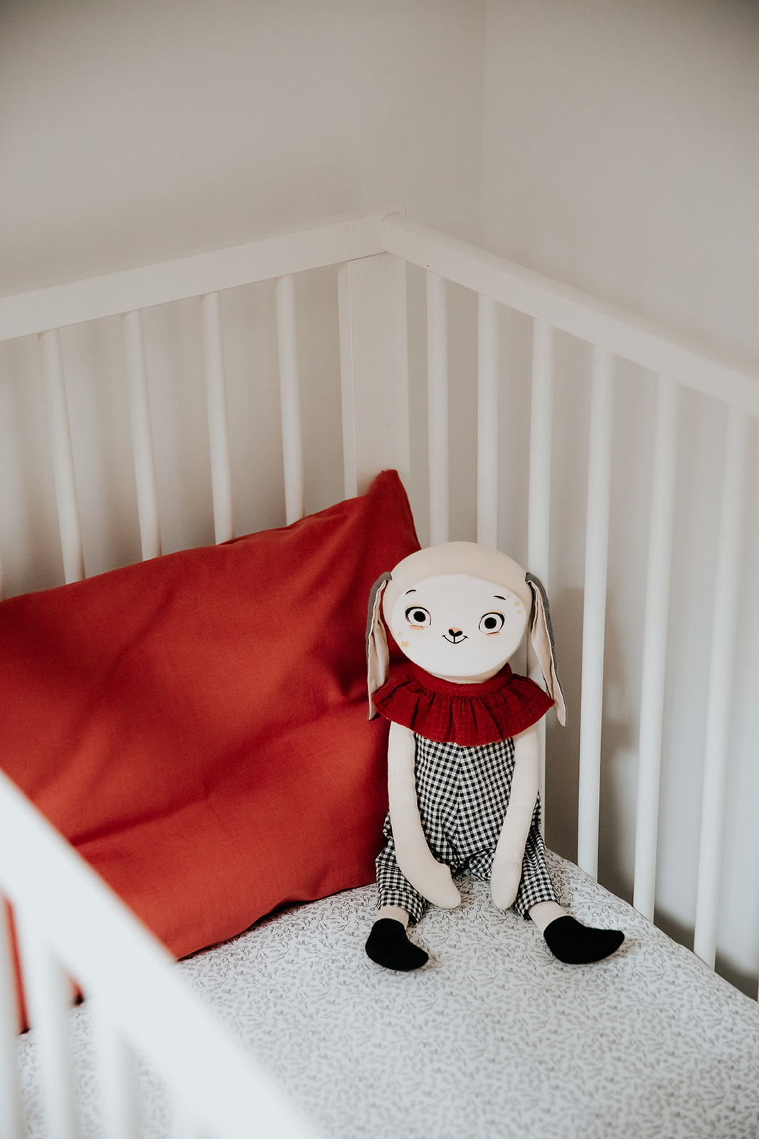 Le Figuier "Chez les Biscotto", Jaure - photo 11