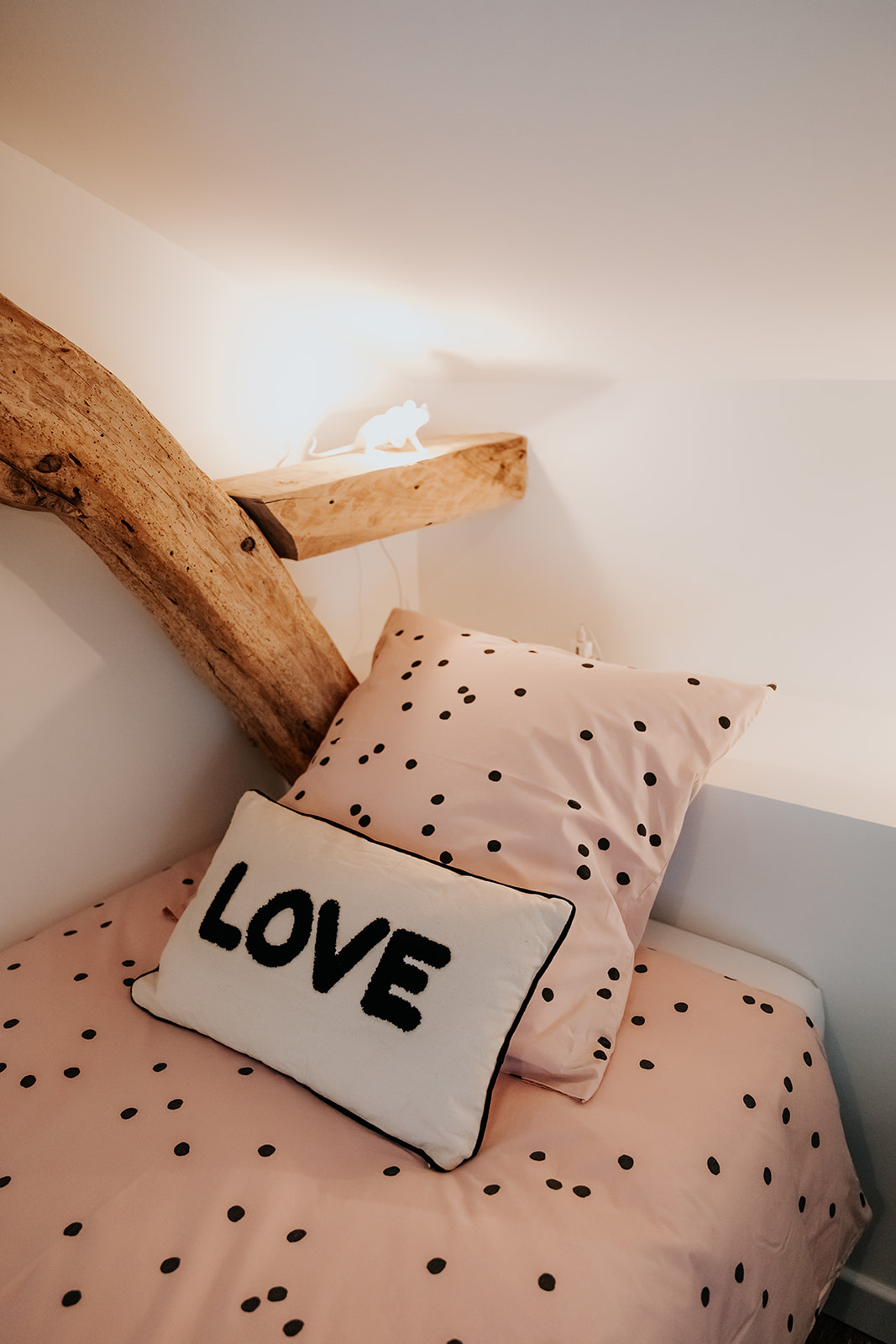 Le Figuier "Chez les Biscotto", Jaure - photo 16