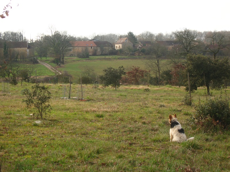 Truffière La Berlandie - photo 3