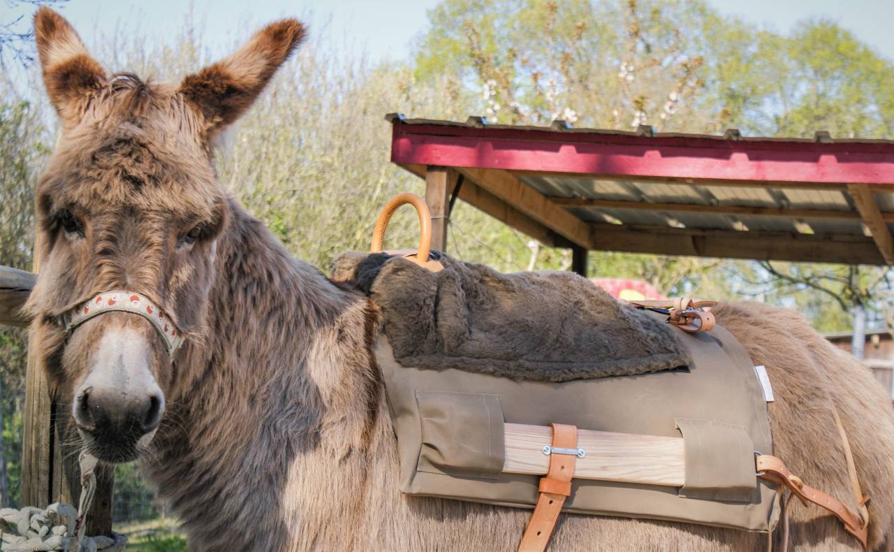 Parc Du Coq à l'Âne, Saint-Georges-de-Rex - photo 6