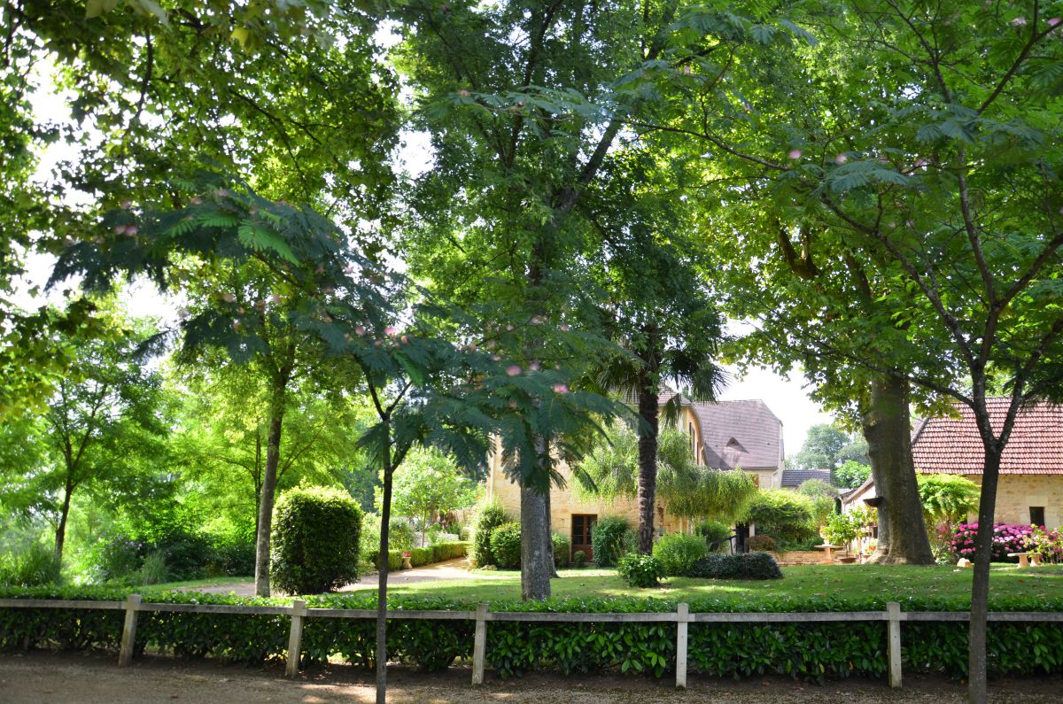 La Guérinière, Cénac-et-Saint-Julien - photo 9