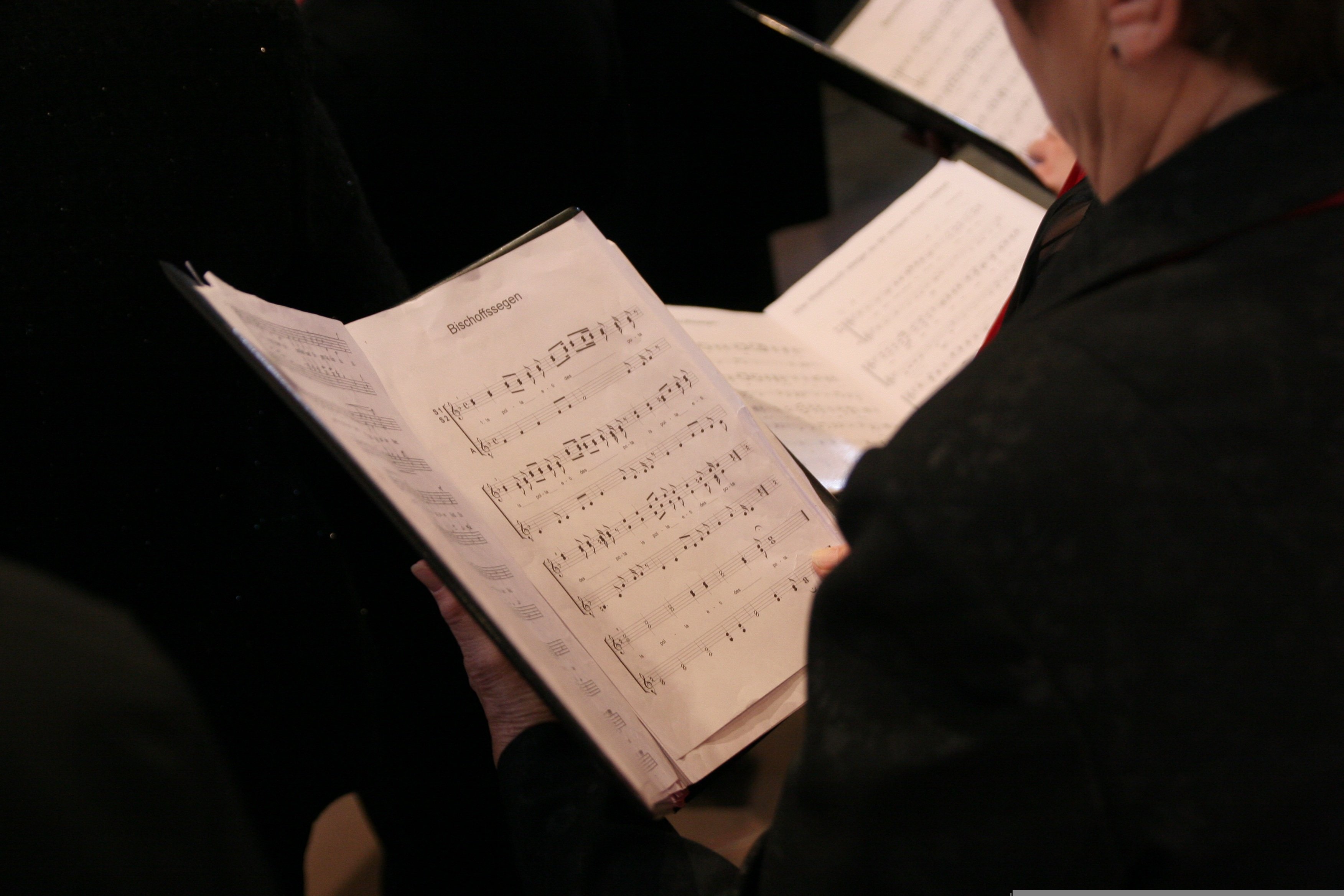 Concert chorale - Les Voix du Lac à Parentis-en-Born — visuel événement