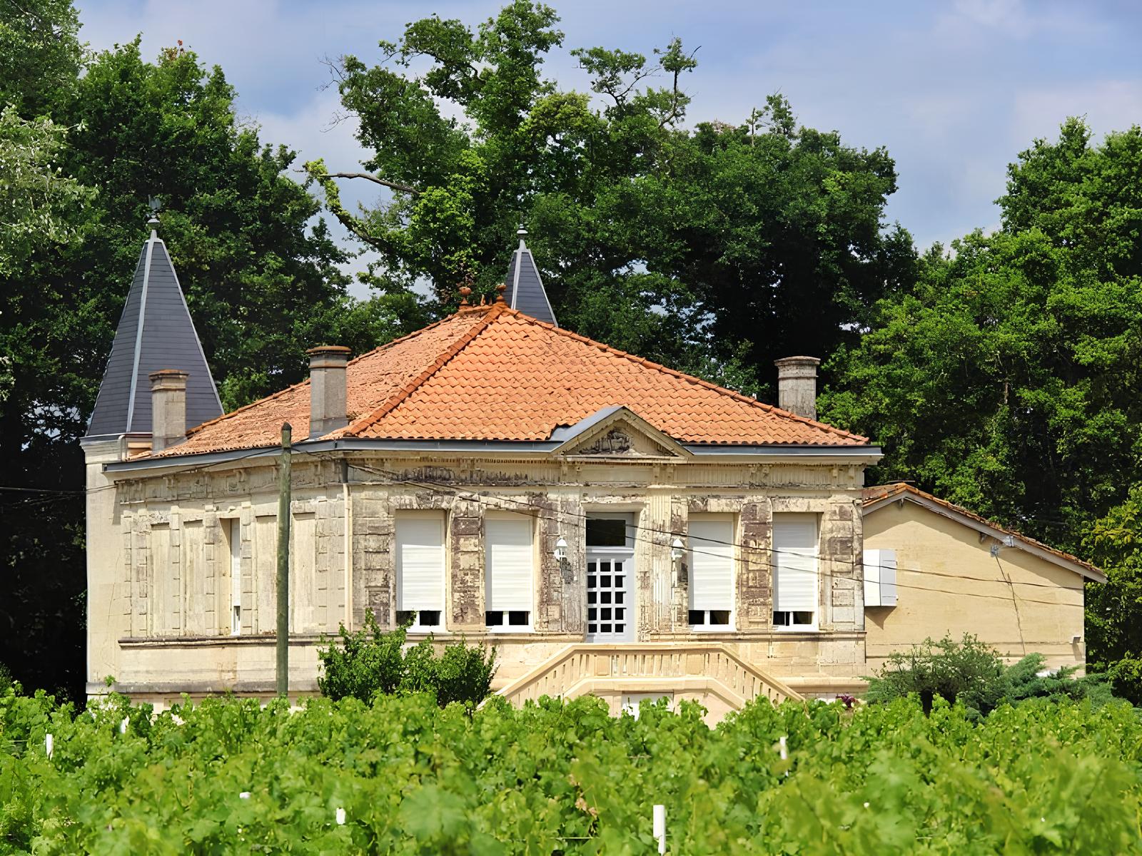 Château Freyneau - photo 4