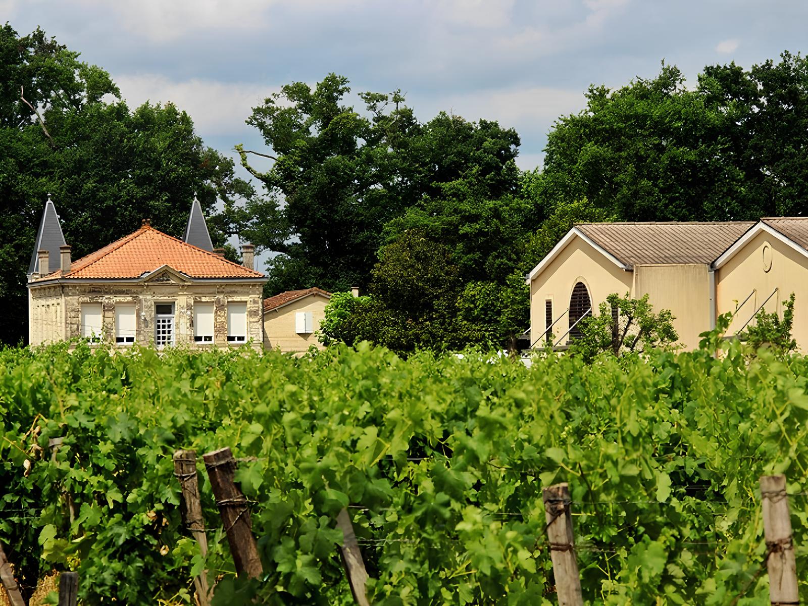 Château Freyneau - photo 5