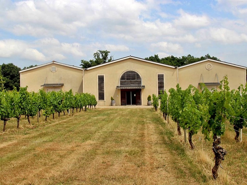 Château Freyneau - photo 2