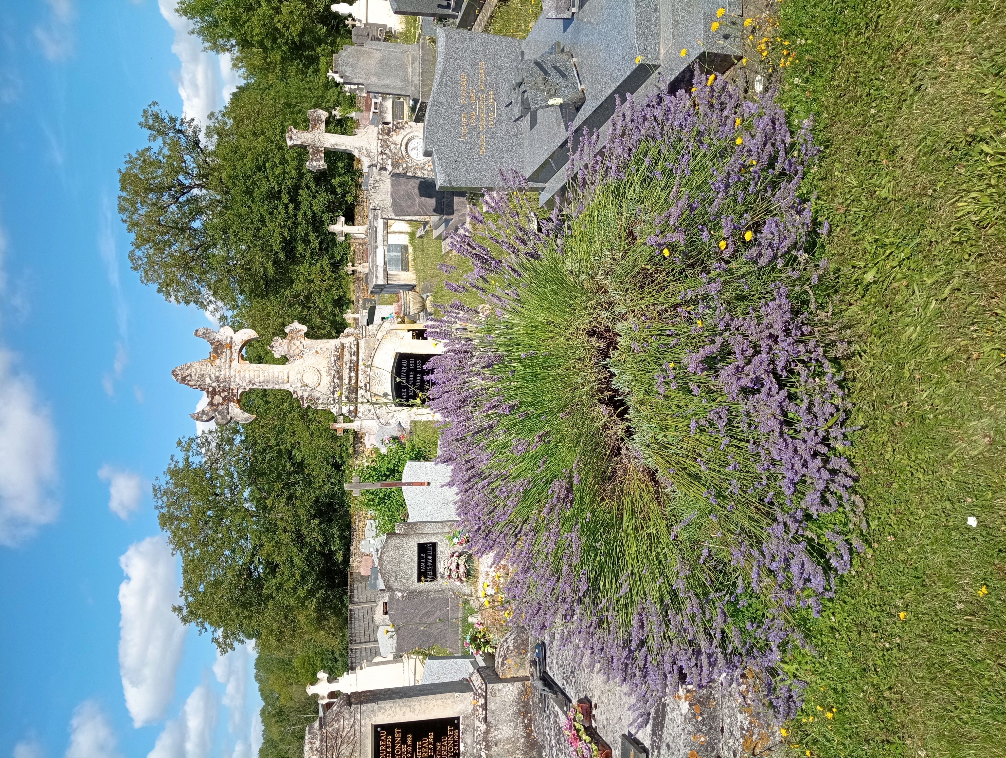 Lanterne des Morts de Château-Larcher, Château-Larcher - photo 2