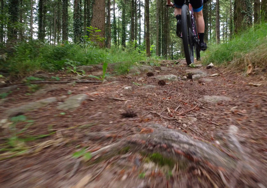 Circuit VTT n°20 - Autour de l'étang de la Cazine, Noth - photo 3