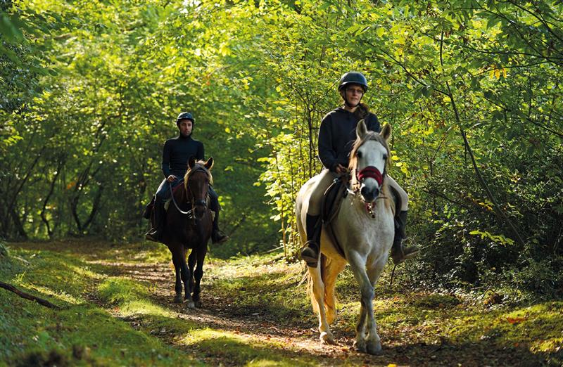 Moncaup : au cœur du Madiranais à cheval