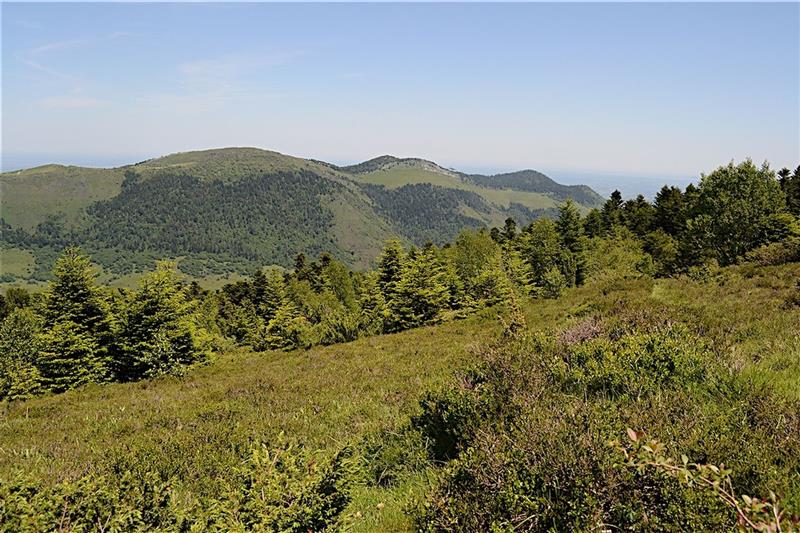 La cabane de Lasbordes 