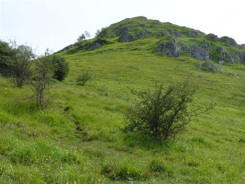 La montagne du Rey  