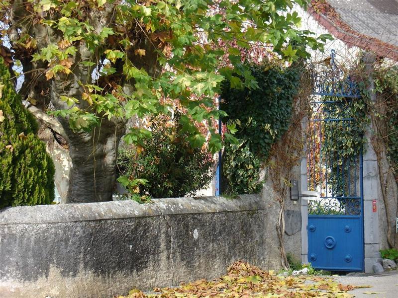 Les chênes  