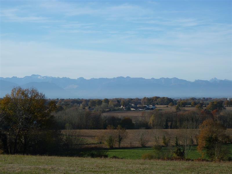 Sedzère : Les fusains
