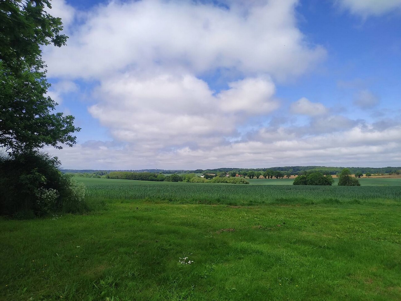 Gîte de la Brenelière, Cirières - photo 10