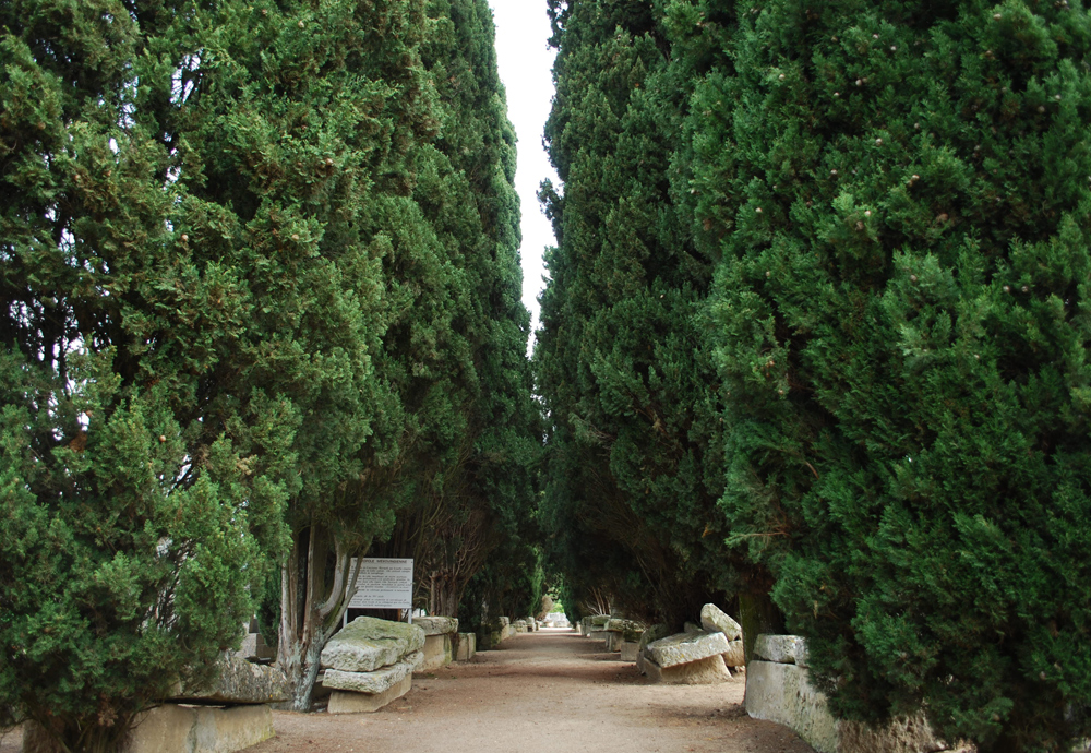 Nécropole Mérovingienne