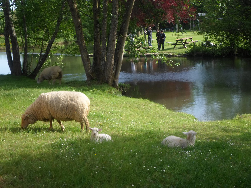 Camping Le Rivage Civraisien, Savigné - photo 6