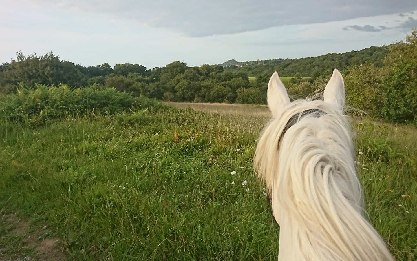 Ferme Xuxurla - photo 2