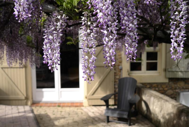 Gîte de la vigne vierge